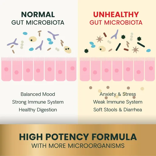 Miniatura 5 de VetriScience Suplementos digestivos probióticos y prebióticos extra fuertes para la salud intestinal para perros y gatos, gases, diarrea y apoyo