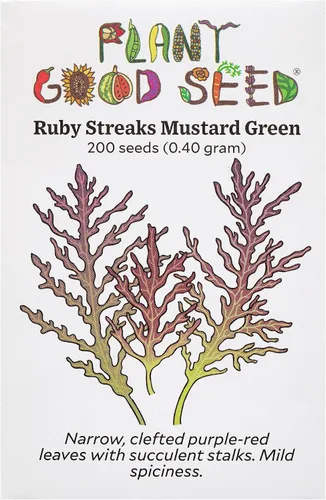 Miniatura 5 de Plant Good Seed Semillas orgánicas de mostaza de lengua de dragón – Paquete de 200, semillas tradicionales para plantar verduras – Suministros
