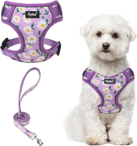 Miniatura 31 de PUPTECK Juego de arnés y correa para perro pequeño, arnés ajustable sin tirones para cachorro, chaleco de malla suave reflectante para mascotas