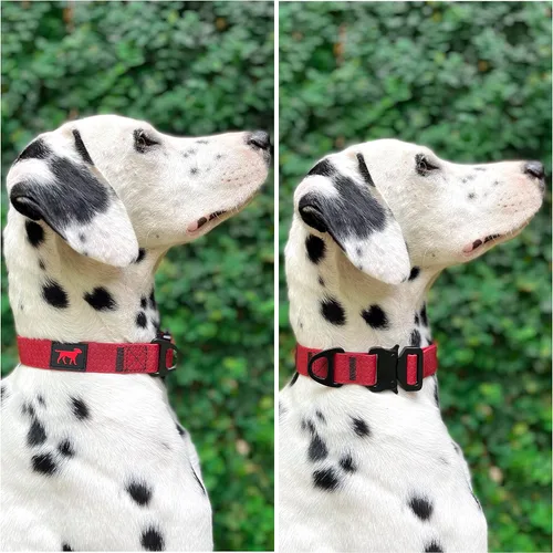 Miniatura 3 de Tuff Pupper Collar de acción impermeable para perros Collar de perro resistente al agua A prueba de desgarros y sin olor Herrajes metálicos