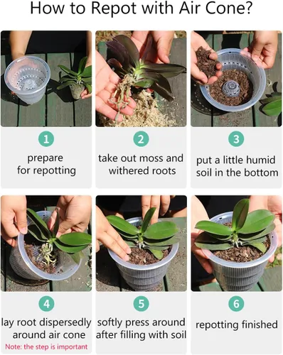 Miniatura 7 de Macetas transparentes para orquídeas con agujeros y platillos para trasplantar, las macetas de plástico para orquídeas proporcionan una buena