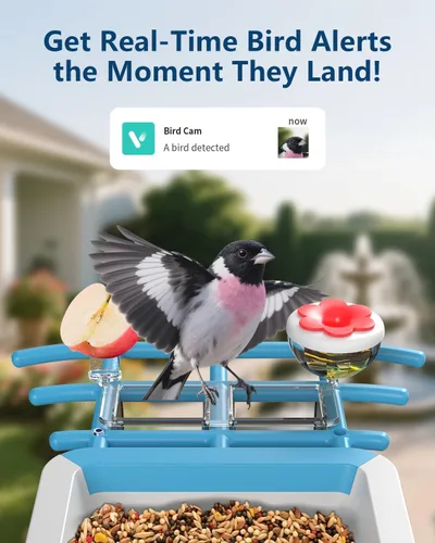 Miniatura 2 de Comedero inteligente para pájaros con cámara, video HD 2K, IA identifica especies de pájaros alimentado por energía solar, videos de captura