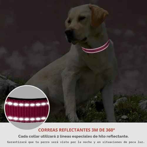 Miniatura 4 de Collar de perro reflectante con hebilla ajustable de nailon de seguridad para perros pequeños, medianos y grandes, rosa M Rosa caliente
