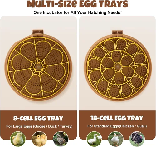 Miniatura 7 de Nest III - Incubadora de 18 huevos para aficionados, bandejas de huevos de doble tamaño, control de humedad y temperatura adaptativo multinivel