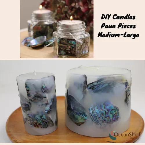 Miniatura 4 de Piezas de concha de abulón (Pāua), paquete de 2.65 onzas para manualidades, fabricación de joyas, arte de resina, incrustaciones, decoraciones
