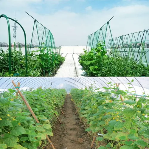 Miniatura 5 de Red de enrejado verde de 4 x 100 pies, red de polipropileno resistente para plantas de trepado, verduras, frutas, flores
