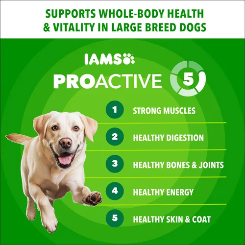 Miniatura 3 de IAMS - Alimento para perros adultos de raza grande con alto contenido de proteínas, con pollo real, 30 libras Bolsa
