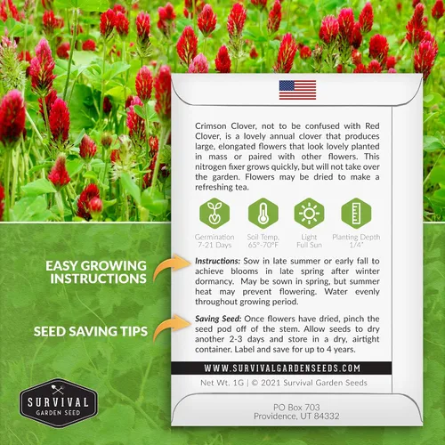 Miniatura 2 de Semillas de trébol carmesí para plantar – Variedad de reliquia sin OMG – Cubierta de fijación de nitrógeno, flores de cultivo para jardines