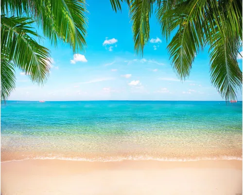 Miniatura 7 de Fondo de playa y océano, fondo tropical hawaiano, fotografía de verano, fotografía de Luau, decoraciones de fiesta temática de Ladvis 82.7 x 59