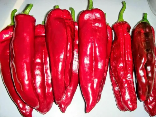 Miniatura 3 de Semillas Gigante Dulce Pimiento Rojo Cuerno No GMO Heirloom