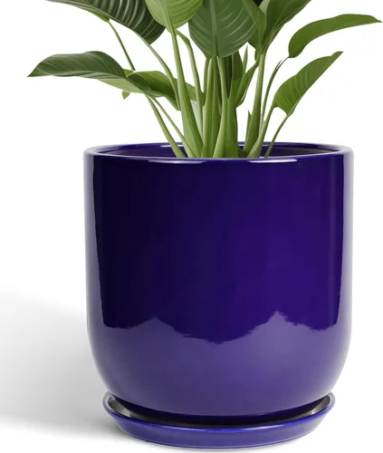Miniatura 19 de Maceta de Cerámica para Plantas de Interior de 5 Pulgadas - Maceta Redonda para Plantas Suculentas con Agujero de Drenaje y Platillo, Decoración