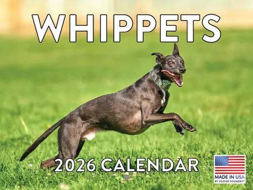 Miniatura 74 de Calendario de pared mensual 2025 Great Dane de 12 meses, fabricado en Estados Unidos