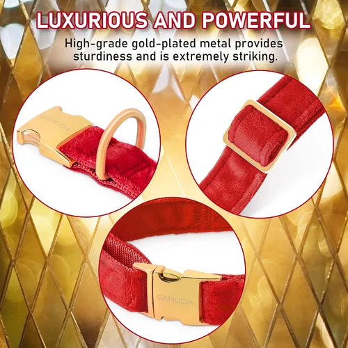 Miniatura 5 de GAMUDA Collar y correa de terciopelo para perro, súper suave y liso, hebilla dorada resistente, cómodo y fácil de limpiar, collar ajustable para Rojo
