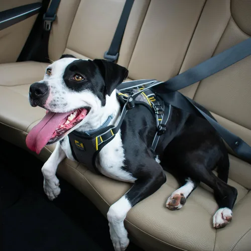 Miniatura 5 de Kurgo Arnés de automóvil para perro de impacto, arnés de automóvil para perro a prueba de choques, arnés de seguridad para perros, arnés de cinturón