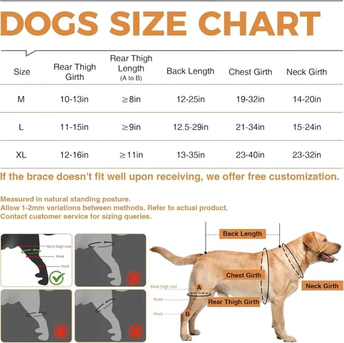 Miniatura 3 de Rodillera para perro para rehabilitación de desgarro del ligamento cruzado anterior y rótula dislocada, soporte ajustable para piernas y suficiente