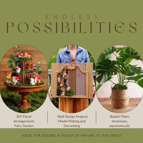 Miniatura 9 de USMOLA Musgo verde para manualidades, musgo falso de 4 onzas para plantas de interior, terrarios, jardines de hadas y exhibiciones de mesa, perfecto