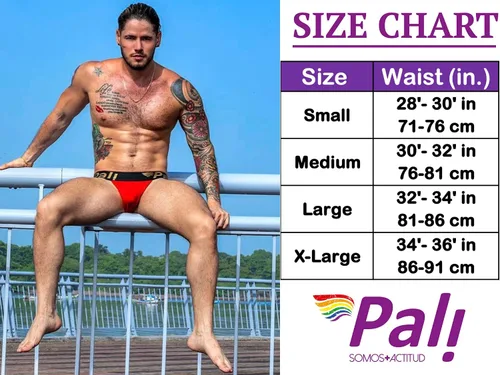 Miniatura 4 de Pali - Tanga sexy con liguero para hombre ropa interior lencería gay