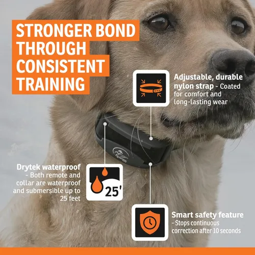 Miniatura 5 de SportDOG SportTrainer - Entrenador remoto - Control fiable fuera de la correa - Pantalla OLED - Collar de entrenamiento impermeable para perros