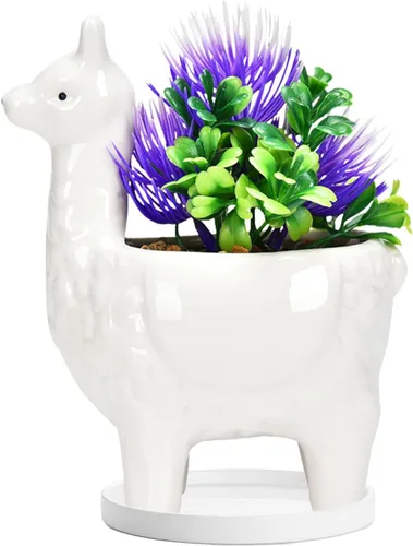 Miniatura 8 de Lependor Bonita maceta para suculentas con bandeja de drenaje, contenedor de cerámica blanca para cactus o flores, soporte para bonsái de alpaca