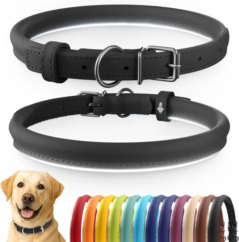 Miniatura 40 de CollarDirect Collar de perro con tachuelas, collares de cuero para mascotas para perros pequeños, medianos y grandes, acolchado suave, marrón, negro
