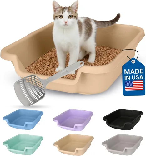 KittyGoHere - Caja de arena para gatos mayores, sartén pequeña con cuchara jumbo de mango largo, caja de arena para gatos de entrada baja, ligera,