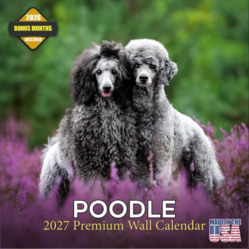 Miniatura 11 de Calendario 2025 2026 de cachorros Cocker Spaniel - Calendario mensual de pared de raza de perro - 12" x 24" abierto - Papel grueso sin sangrado