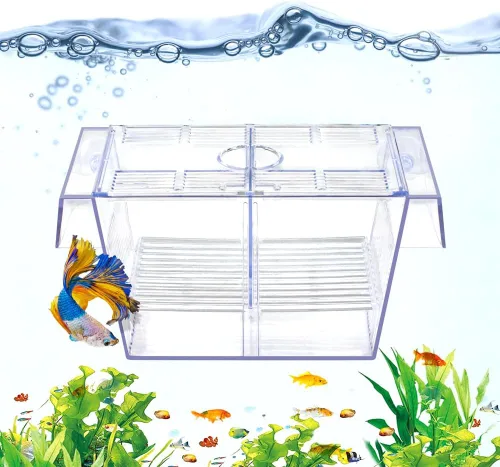 Miniatura 9 de DaToo Caja de cría de peces acuario tanque de retención transparente Caja de aislamiento de peces aclimatación incubadora incubadora criador