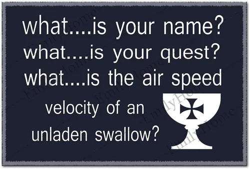 What.is Your Name What.is Your Quest What.is The air Speed Speed Speed of an Unloaden Swallow Mat antideslizante Rubber 23.6 x15.7 Inch-Emilyhome