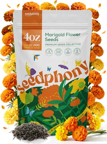 Miniatura 9 de Seedphony Paquete de semillas de equinácea de 1 onza – 9,300 semillas de equinácea sin OMG para plantar, flores perennes en paquete de semillas