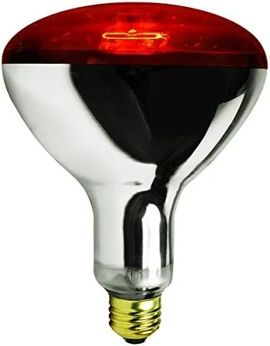250 vatios rojo criador calor lámpara bombilla pollo gallina gallina casa bebé pollito 250w