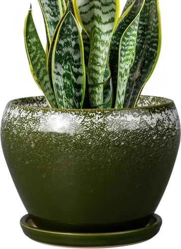 Miniatura 57 de Maceta de Cerámica Moderna con Esmalte para Suculentas con Agujero de Drenaje y Platillo, Maceta Redonda de 6 Pulgadas para Plantas de Flores
