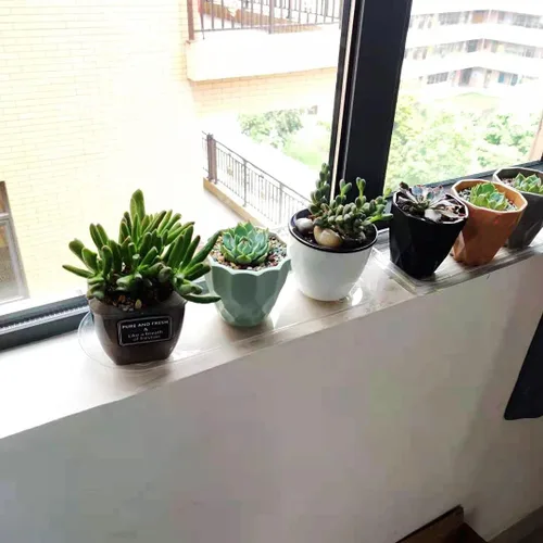 Miniatura 6 de Idyllize Bandejas de goteo ovaladas de plástico transparente resistente de 5 piezas de 14 por 4 5/8 pulgadas para macetas, alféizares de ventana