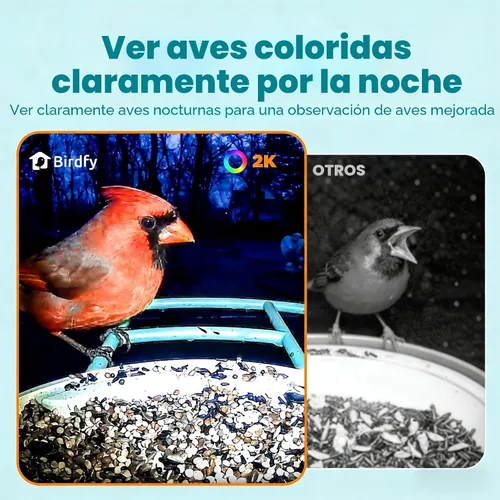 Miniatura 4 de NETVUE by Birdfy - Comedero inteligente para pájaros con cámara AI 2K, captura automática de videos y detección de movimiento, transmisión en vivo