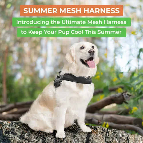 Miniatura 2 de Joyride Harness Chaleco de malla de verano – Arnés para perro 2.0 sin tirones – Chaleco ajustable y transpirable – Etiqueta de nombre personalizada