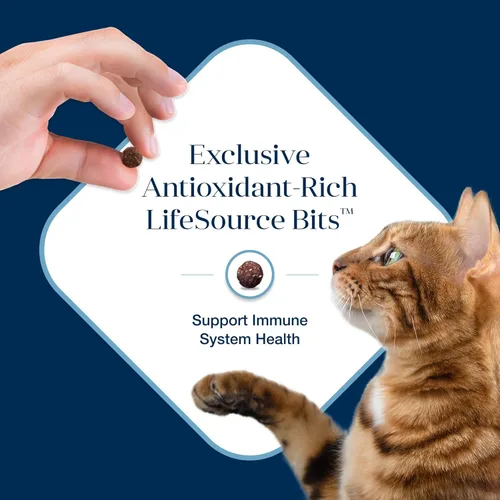 Miniatura 6 de Blue Buffalo Basics - Alimento seco para gatos sin granos, cuidado de la piel y el estómago, dieta de ingredientes limitados para gatos