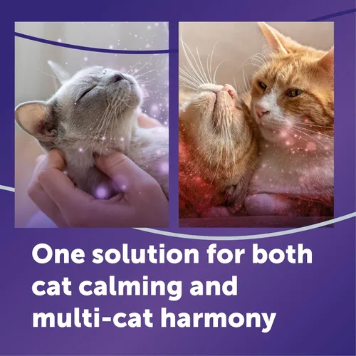 Miniatura 2 de FELIWAY Optimum - Kit difusor calmante para gatos – Soporte avanzado para ayudar a reducir la pulverización de orina, arañazos, peleas y esconderse
