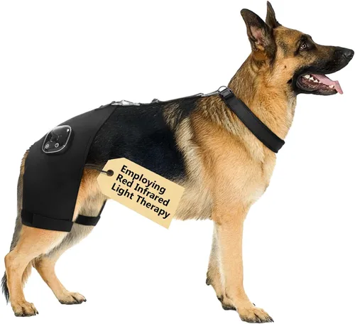 Miniatura 12 de Soporte de cadera para perro con terapia de luz infrarroja roja - Alivio del dolor para artritis, displasia de cadera, problemas de columna