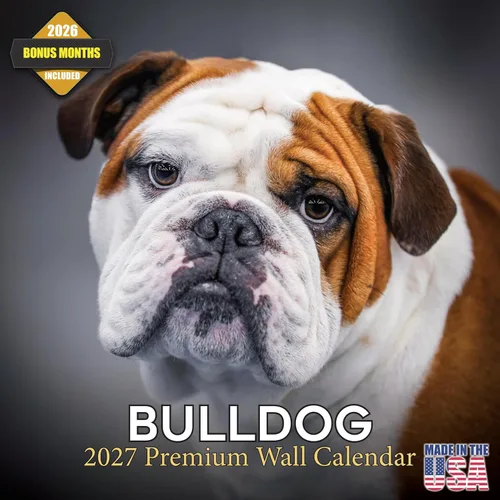 Miniatura 28 de Calendario 2025 2026 de cachorros Cocker Spaniel - Calendario mensual de pared de raza de perro - 12" x 24" abierto - Papel grueso sin sangrado