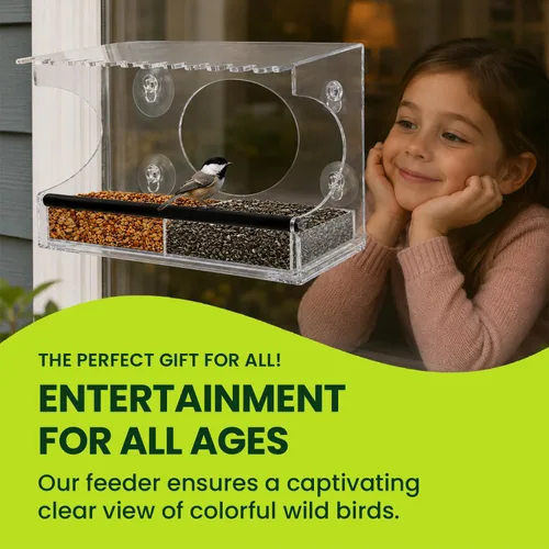 Miniatura 4 de Comedero de ventana para pájaros – Modelo 2018 - Tejado extendid o – Perca de acero – Con alimentación deslizante de acero para desagües de agua