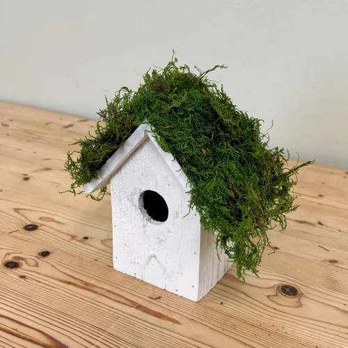 Miniatura 7 de Musgo de hoja preservado - Musgo decorativo natural - Musgo seco para manualidades, decoración del hogar, proyectos de arte, diseño y bricolaje - No