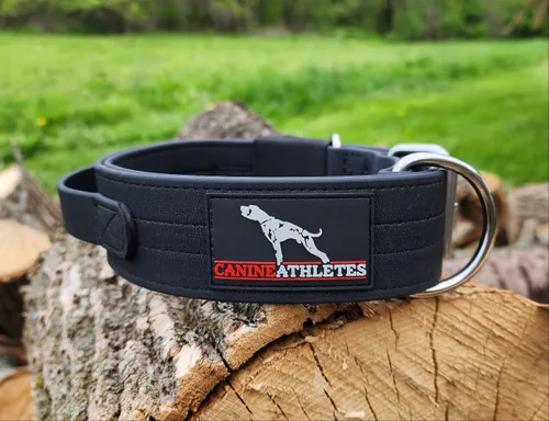 Miniatura 4 de Canine Athletes Collar para perro de trabajo resistente al agua AP-Sport de 2 pulgadas con mango de control de agitación (extra grande)
