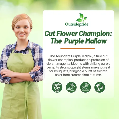 Miniatura 5 de Outsidepride Bibor Felho - Semillas de Hollyhock francés – 50 piezas de semillas perennes de color morado veteado y magenta, semillas de flores