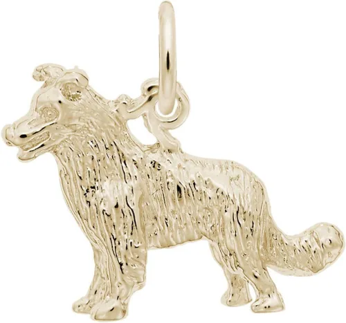 Rembrandt Border Collie Perro Encanto