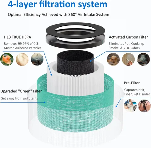 Miniatura 2 de Paquete de 2 filtros de repuesto MK01 MK06 True HEPA compatibles con AROEVE MK01 MK06 y Kloudi DH-JH01 purificador de aire, versión de caspa