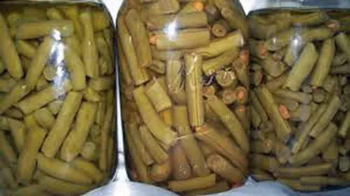 Miniatura 3 de Frijol, Top Crop Bush, reliquia, 50 semillas, gran sabor fresco o cocido, Country Creek Acres