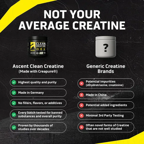 Miniatura 3 de Ascent Creatina Monohidrato Limpia en Polvo - 5G Por Porción, Suplemento Creapure - Sin Sabor, 45 Porciones
