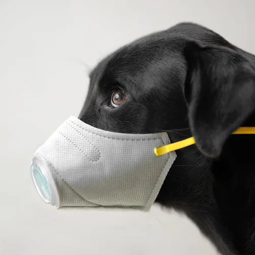 Miniatura 8 de Cubrebocas protector transpirable para perro, para polvo, 5 filtros, ajustable, cara de perro pequeño para contaminación al aire libre, bozal ligero