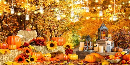 Miniatura 19 de Telón de fondo de paisaje de bosque otoñal para fotografía, paisaje de otoño, hojas de día de Acción de Gracias, calabaza, girasol, fondo