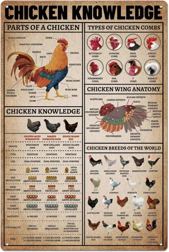 SUPERDANT Cartel de metal de Chicken Knowledges, cartel de metal de gallinero divertido, placa de arte de pared vintage para decoración de pared del