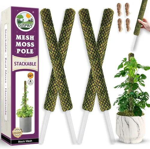 Miniatura 13 de DUSPRO Postes de musgo de malla plana para plantas trepadoras, Monstera, poste de musgo apilable para plantas con musgo real, poste para plantas